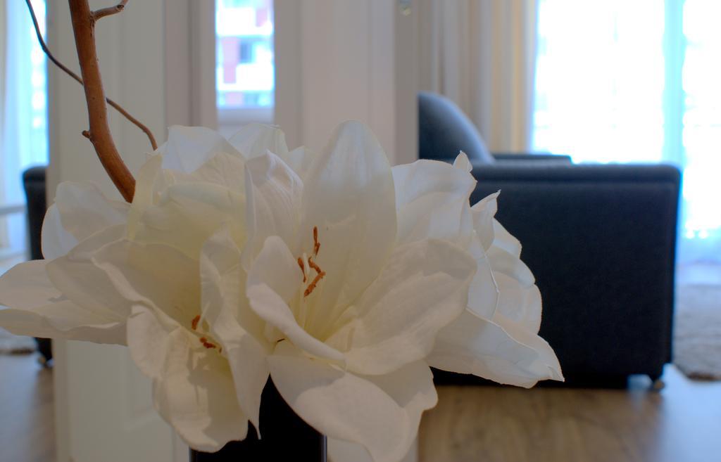 Irs Royal Apartments Apartamenty Irs Trzy Zagle 그단스크 외부 사진